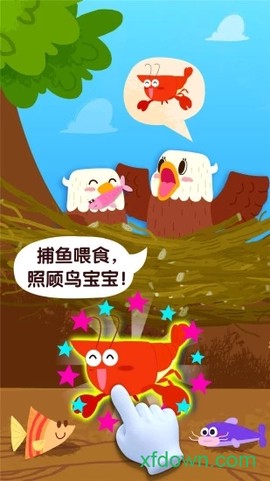 宝宝鸟类认知图3