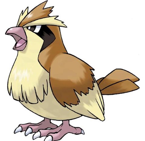 神奇宝贝波波怎么折[图1]