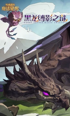 哈利波特:魔法觉醒图1