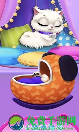 公主宠物小猫咪图3
