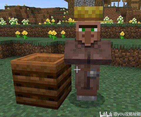 我的世界怎么给村民职业