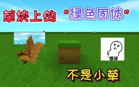 迷你世界草块怎么弄绿[图2]