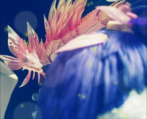 怪物猎人x狐泡龙弱什么