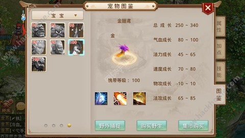 问道手游问羽怎么获得