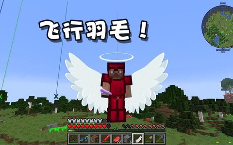 我的世界羽毛有什么用[图2]