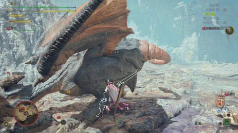 怪物猎人x毒怪鸟怎么打[图2]