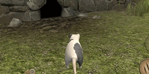 美食和老鼠[图3]