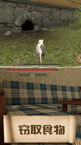 美食和老鼠图3
