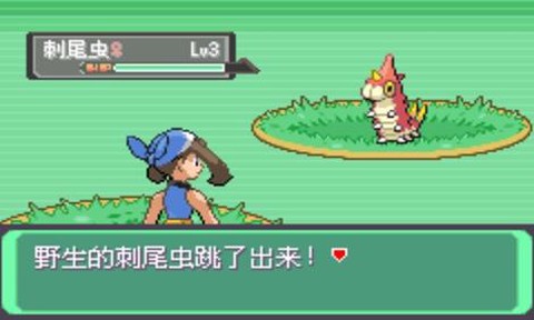 口袋妖怪漆黑的魅影图3