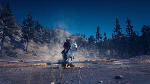 荒野大镖客能用什么玩