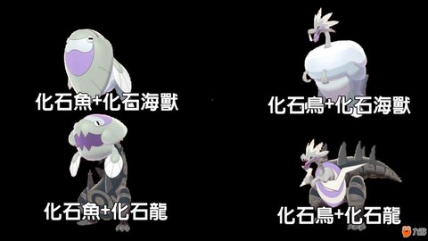 口袋妖怪化石怎么用