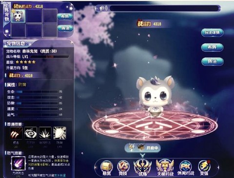 qq飞车宠物怎么的[图1]