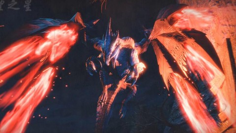 怪物猎人天慧龙怎么打