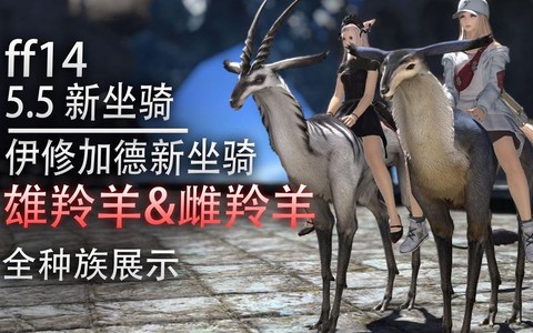 最终幻想坐骑怎么获得