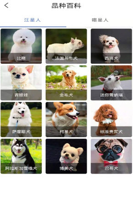 宠物知识全书图1