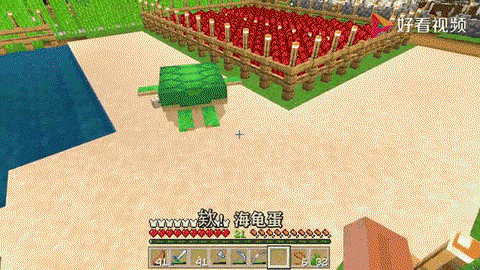 我的世界海龟壳怎么弄