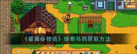星露谷物语珍奇乌鸦有什么用[图2]
