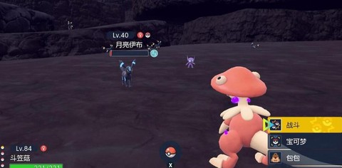 口袋妖怪月前期抓什么