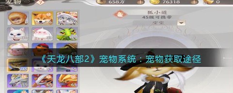 天龙八部宠物怎么分享[图2]