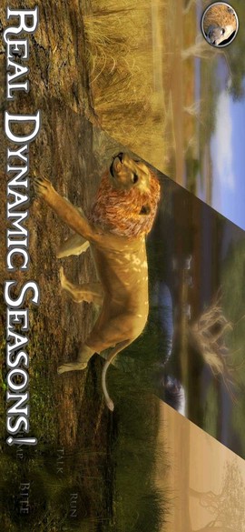 终极狮子模拟器图3