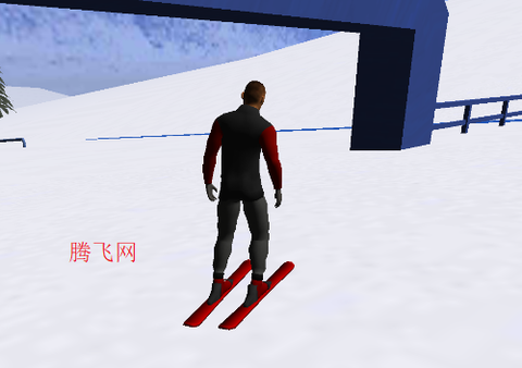 自由式滑雪模拟器[图4]