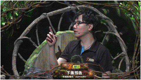 熊猫的狼人杀叫什么[图2]