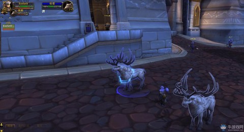 魔兽世界哈提是什么