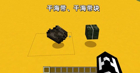 我的世界海带怎么种