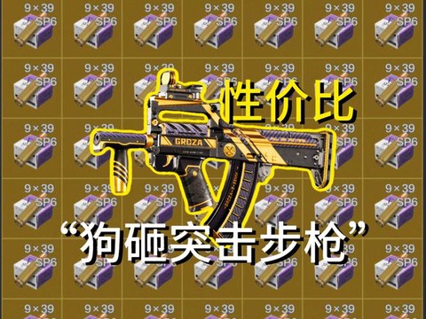 绝地求生狗子是什么枪[图1]