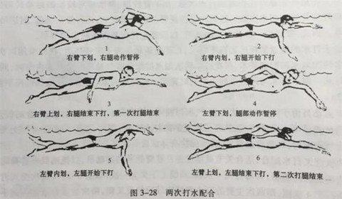 绝地求生游泳怎么上浮