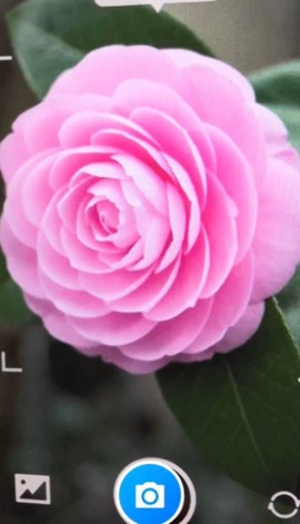 月光工具盒子图1