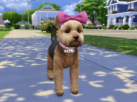 模拟人生4怎么养动物