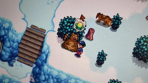 星露谷物语熊有什么用