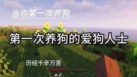 我的世界怎么训天才狗[图2]