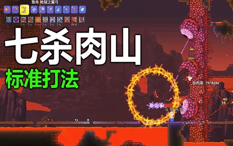 泰拉瑞亚肉山怎么打