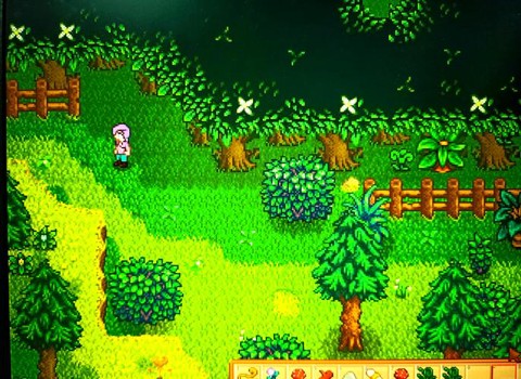 星露谷物语怎么硬木