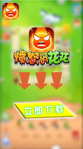 愤怒的花花[图1]