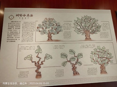 九阴真经庭院怎么种树[图1]