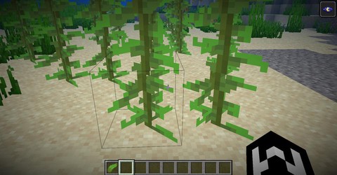 迷你世界海带有什么用