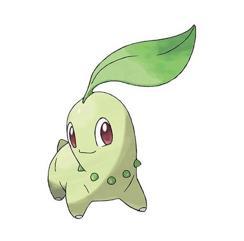 草系神奇宝贝有什么