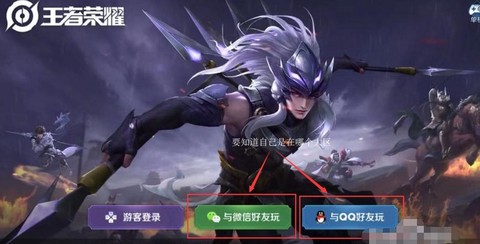 王者荣耀怎么看哪个区有角色[图1]