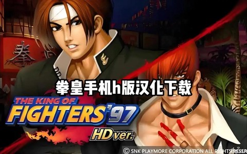 电脑版拳皇怎么放大[图2]