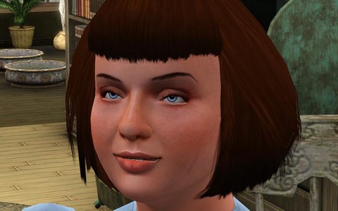 模拟人生4动量节省器有什么用