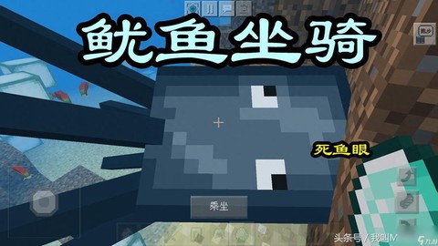我的世界海豚怎么驯服[图2]