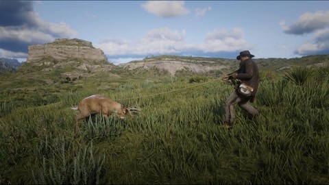 荒野大镖客打猎什么