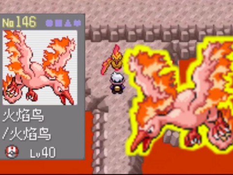 口袋妖怪火焰鸟怎么抓