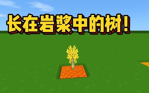 迷你世界新版树怎么种