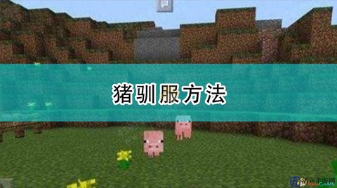 迷你世界猪怎么驯服