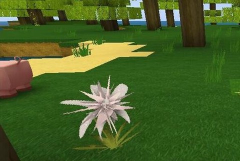 迷你世界龙舌兰怎么得[图1]