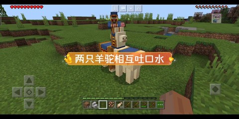 我的世界手机版羊驼怎么骑